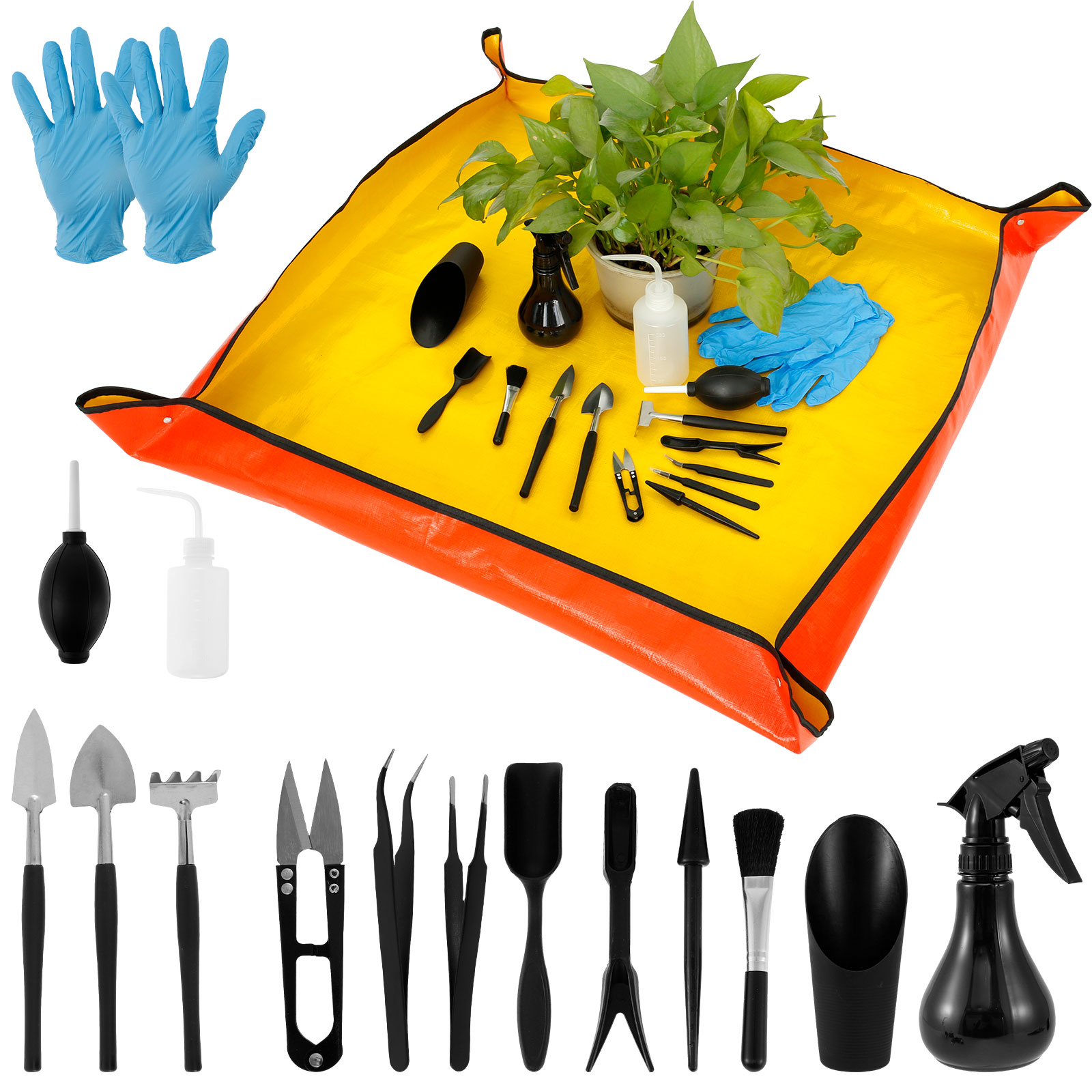 Bonsai Zen Garden Set - Mini Garden Planter Kit com Repotting