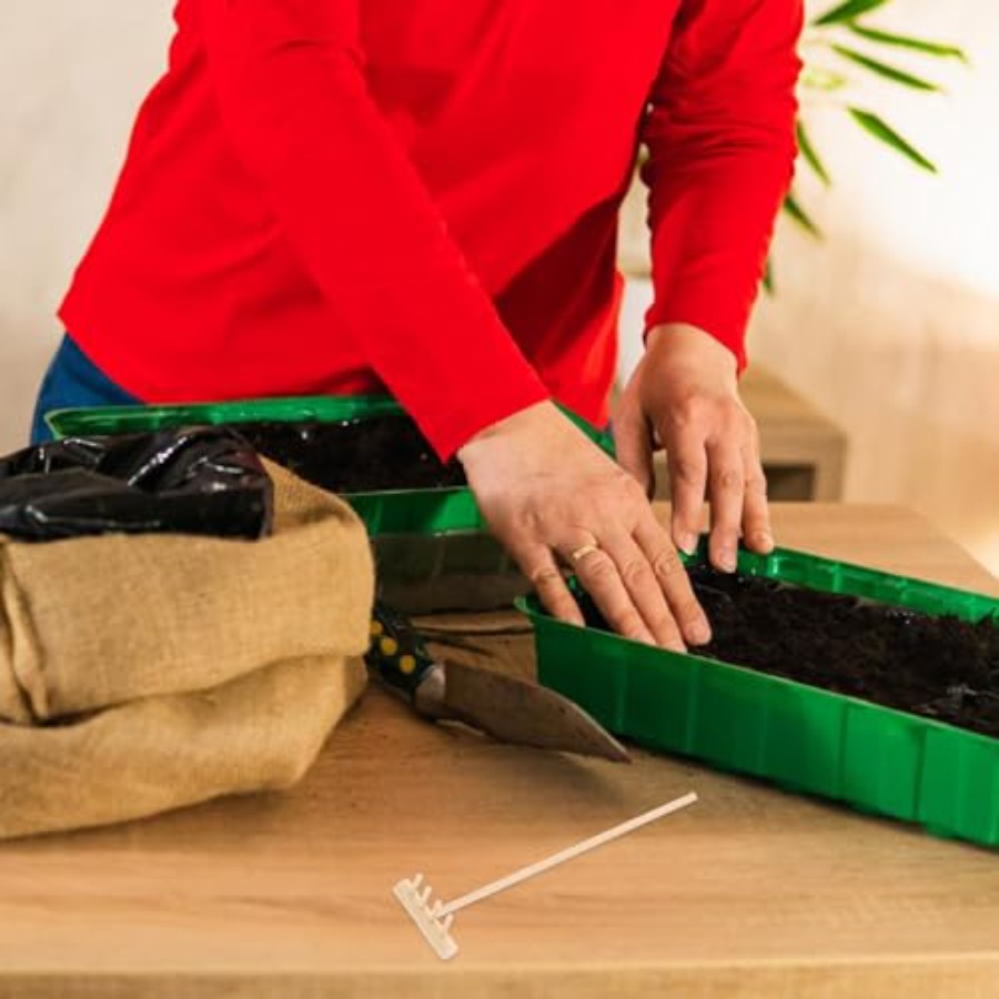 Conjunto de Mini Raspadores de - Bonsai Zen Garden Set avaliação e preço