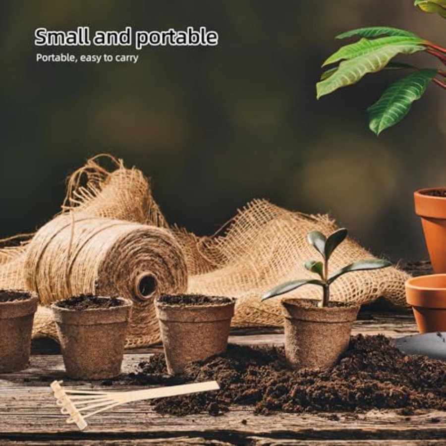 Conjunto de Mini Raspadores de - Bonsai Zen Garden Set avaliação e preço