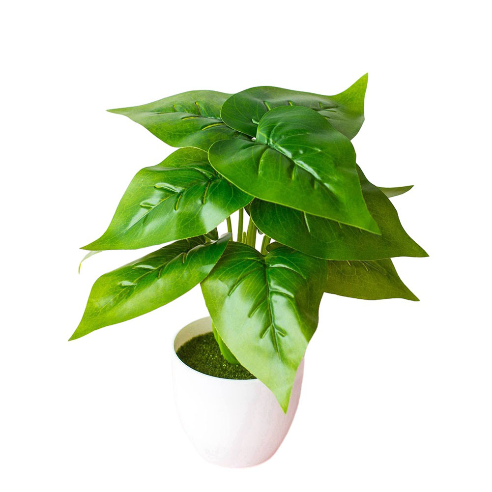 Planta Artificial Realista em  - Bonsai Garden Design avaliação e preço