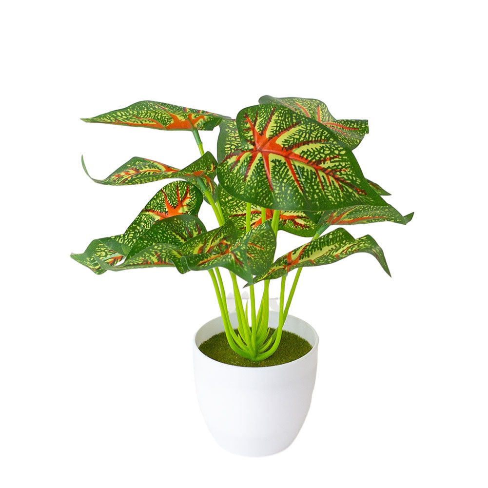 Planta Artificial Realista em  - Bonsai Garden Design avaliação e preço