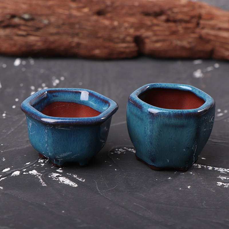 Mini Vasos de Plantas com Furo - Bonsai Garden With Sand avaliação e preço